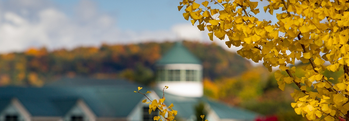 autumn leaves with library cupola in background